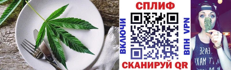Cannafood конопля  Карачаевск 