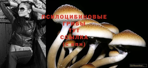 соль курить ск Алексеевка