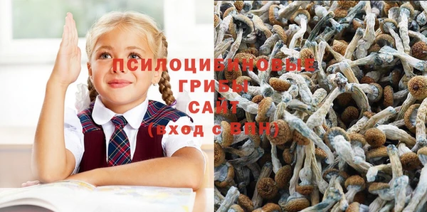 MDMA Алзамай