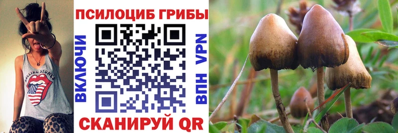 Псилоцибиновые грибы GOLDEN TEACHER  Карачаевск 